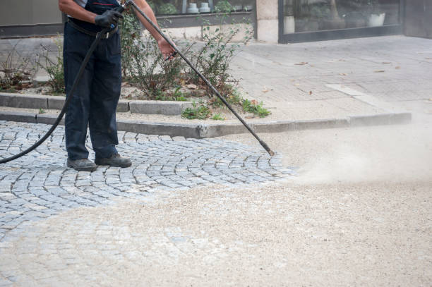 Animal Enclosure Cleaning in Duluth, GA